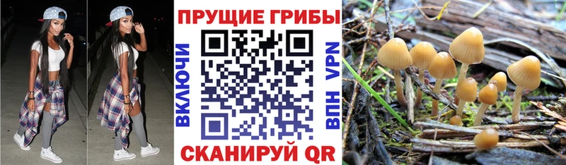 Галлюциногенные грибы мухоморы  ссылка на мегу зеркало  Улан-Удэ 